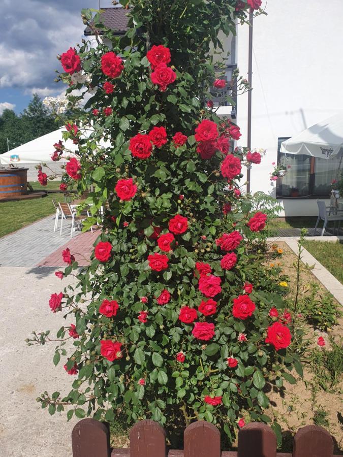 Pensiunea Ronicson Milostea Extérieur photo